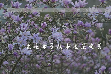 竟逼妻子从事违法交易 竟逼妻子从事违法交易