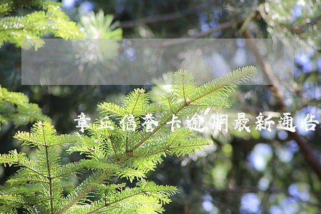 章丘信誉卡逾期最新通告名单 章丘信誉卡逾期最新通告名单