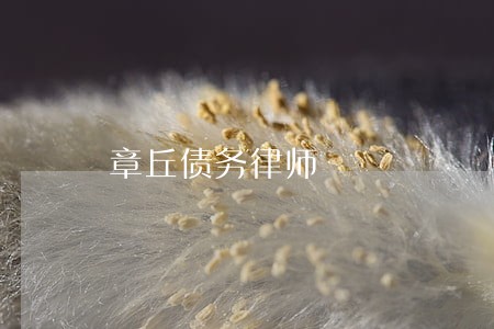 章丘债务律师