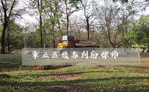 章丘区债务纠纷律师 章丘区债务纠纷律师