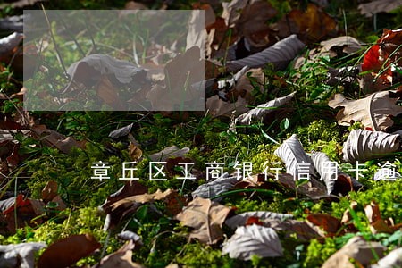章丘区工商银行信用卡逾期 章丘区工商银行信用卡逾期