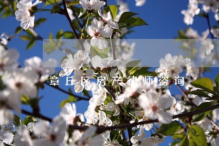 章丘区房产律师咨询 章丘区房产律师咨询