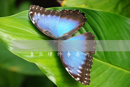 章丘律师事务所