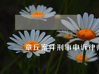 章丘案件刑事申诉律师委托 章丘案件刑事申诉律师委托