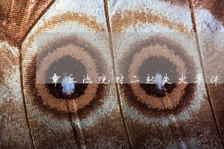 章丘法院对二起失火案件公开审理