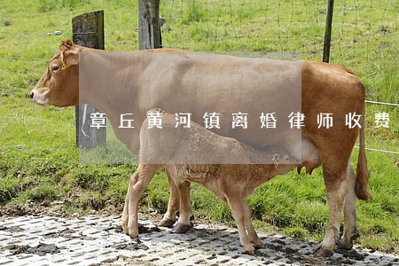 章丘黄河镇离婚律师收费标准 章丘黄河镇离婚律师收费标准