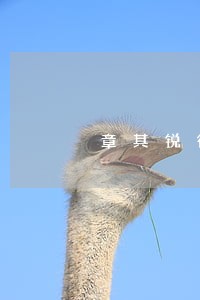 章其锐律师 章其锐律师
