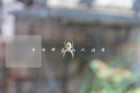 章律师你好我结婚 章律师你好我结婚