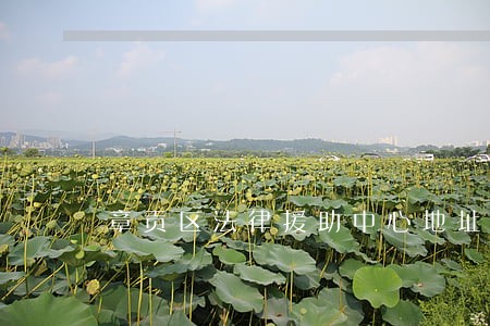 章贡区法律援助中心地址 章贡区法律援助中心地址