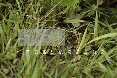 章贡区法院商品房拍卖 章贡区法院商品房拍卖