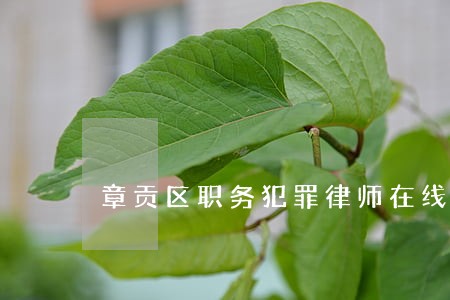 章贡区职务犯罪律师在线免费咨询 章贡区职务犯罪律师在线免费咨询