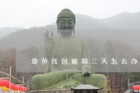 章鱼钱包逾期三天怎么办 章鱼钱包逾期三天怎么办