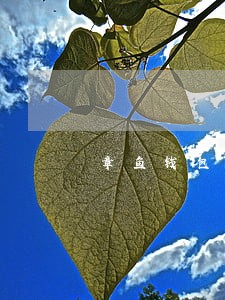 章鱼钱包逾期几天爆通讯录