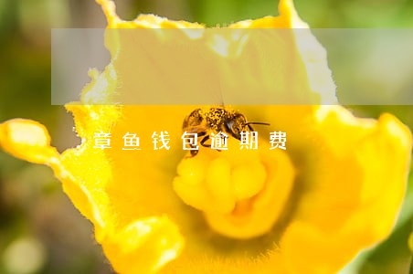 章鱼钱包逾期费 章鱼钱包逾期费