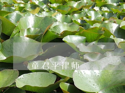 童君平律师 童君平律师