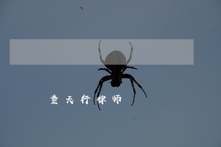 童天行律师 童天行律师