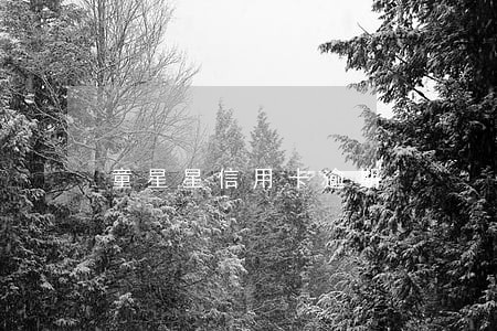童星星信用卡逾期