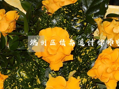 端州区债务追讨律师电话号码 端州区债务追讨律师电话号码