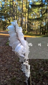 端州区民事法律咨询优势 端州区民事法律咨询优势