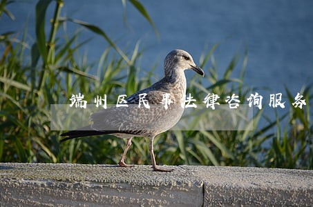 端州区民事法律咨询服务 端州区民事法律咨询服务