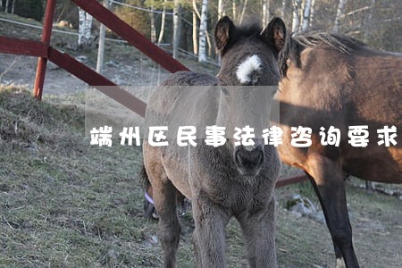 端州区民事法律咨询要求 端州区民事法律咨询要求