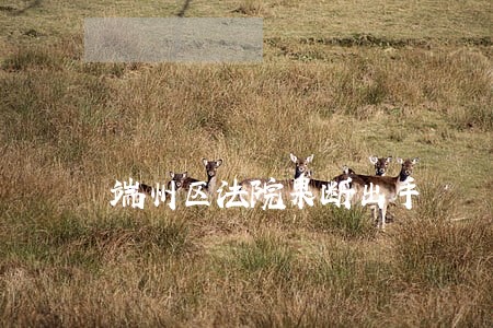 端州区法院果断出手 端州区法院果断出手