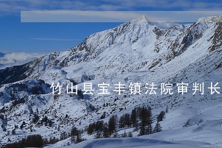 竹山县宝丰镇法院审判长 竹山县宝丰镇法院审判长