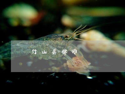 竹山县律师 竹山县律师