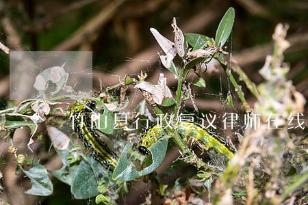 竹山县行政复议律师在线咨询 竹山县行政复议律师在线咨询