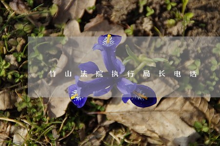 竹山法院执行局长电话 竹山法院执行局长电话