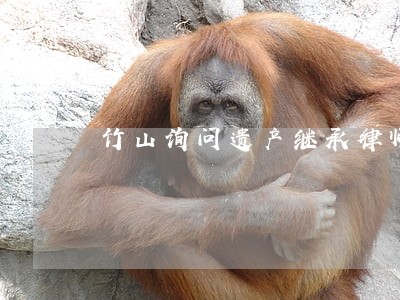 竹山询问遗产继承律师 竹山询问遗产继承律师