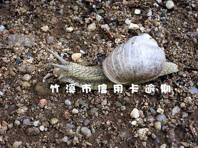 竹溪市信用卡逾期 竹溪市信用卡逾期