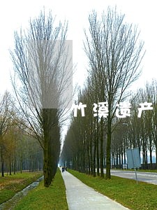 竹溪遗产继承律师处理 竹溪遗产继承律师处理