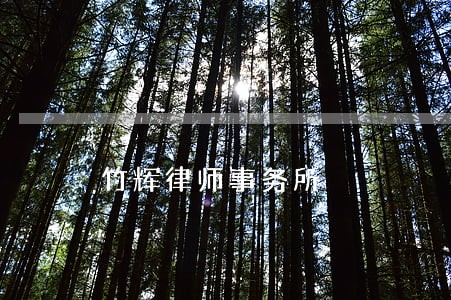 竹辉律师事务所 竹辉律师事务所