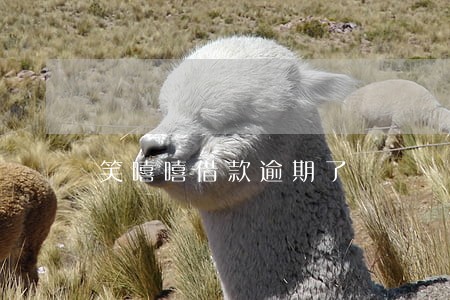 笑嘻嘻借款逾期了