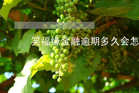 笑福缘金融逾期多久会怎样 笑福缘金融逾期多久会怎样