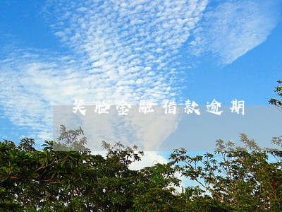 笑脸金融借款逾期 笑脸金融借款逾期