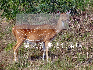 笔录算违法记录吗 笔录算违法记录吗