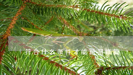 符合什么条件才能逾期修复 符合什么条件才能逾期修复