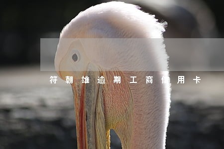 符朝雄逾期工商信用卡