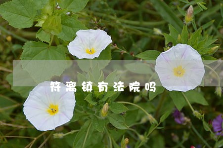 符离镇有法院吗 符离镇有法院吗
