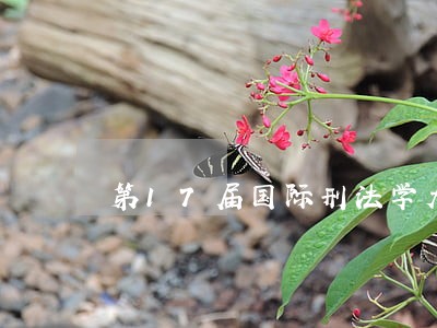 第17届国际刑法学大会文献汇编 第17届国际刑法学大会文献汇编