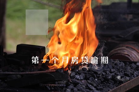 第一个月房贷逾期 第一个月房贷逾期