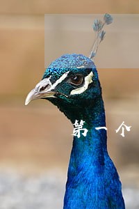 第一个月房贷逾期十天 第一个月房贷逾期十天