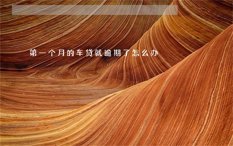 第一个月的车贷就逾期了怎么办 第一个月的车贷就逾期了怎么办