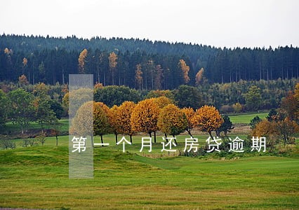 第一个月还房贷逾期 第一个月还房贷逾期