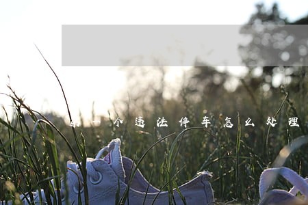 第一个违法停车怎么处理