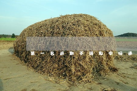 第一名逾期不领取中标通知书