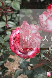 第一天逾期会爆通讯录吗我爱卡 第一天逾期会爆通讯录吗我爱卡