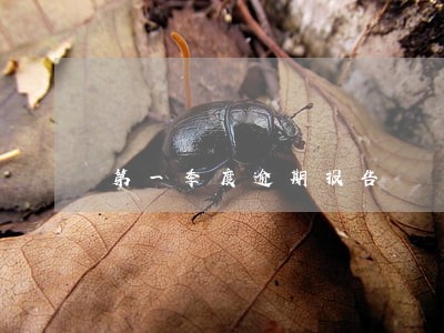 第一季度逾期报告